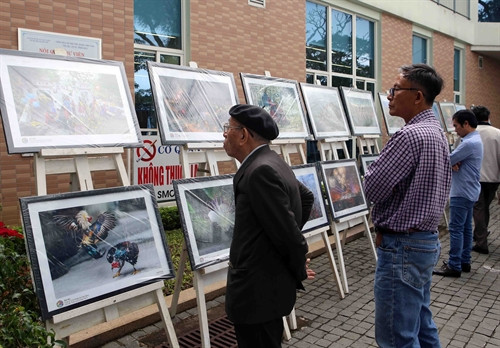Người dân Đà Nẵng tham quan triển lãm ảnh nghệ thuật “Xuân quê hương”. Ảnh: Trần Lê Lâm – TTXVN Người dân Đà Nẵng tham quan triển lãm ảnh nghệ thuật “Xuân quê hương”. Ảnh: Trần Lê Lâm – TTXVN