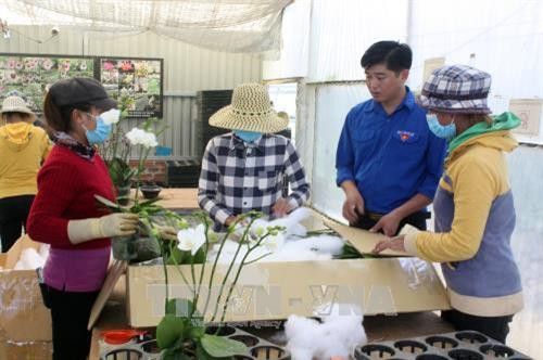 Đóng gói sản phẩm trước khi xuất ra thị trường. Ảnh: Chu Quốc Hùng – TTXVN Đóng gói sản phẩm trước khi xuất ra thị trường. Ảnh: Chu Quốc Hùng – TTXVN