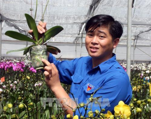 Anh Phan Thanh Sang giới thiệu về hoa lan trồng trong trang trại. Ảnh: Chu Quốc Hùng – TTXVN Anh Phan Thanh Sang giới thiệu về hoa lan trồng trong trang trại. Ảnh: Chu Quốc Hùng – TTXVN