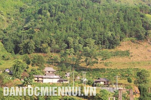 Những năm gần đây, ý thức bảo vệ và phát triển rừng của đồng bào các dân tộc thiểu số ở khu vực có rừng tại Lai Châu đã được nâng lên, gắn cuộc sống của họ với sự sống của rừng.