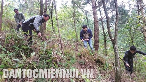 Mô hình Tổ bảo vệ và phát triển rừng ở thôn bản đã góp phần phát huy tinh thần chủ động trong công tác tuần tra, kiểm soát và bảo vệ rừng trên địa bàn.