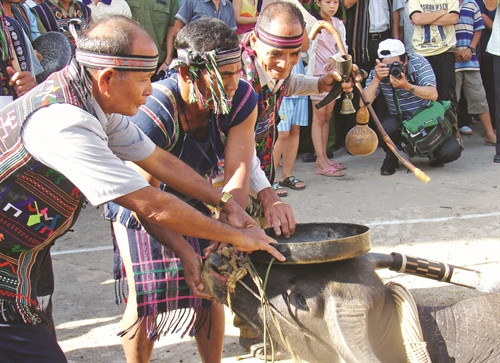 Nghi thức cúng tế trong lễ hội đâm trâu - một hoạt động văn hoá đặc sắc của đồng bào K’Ho, tỉnh Lâm Đồng