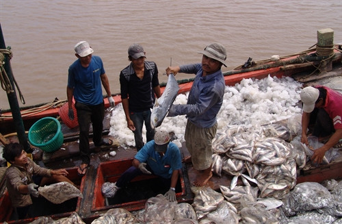 Tàu cá của ngư dân vào cửa biển thị trấn Gành Hào, huyện Đông Hải sau chuyến đi biển. Ảnh: Huỳnh Sử- TTXVN Tàu cá của ngư dân vào cửa biển thị trấn Gành Hào, huyện Đông Hải sau chuyến đi biển. Ảnh: Huỳnh Sử- TTXVN
