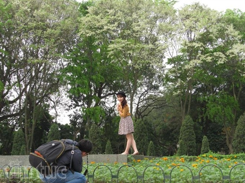 Hẹn gặp lại, sắc trắng hoa sưa ảnh 7