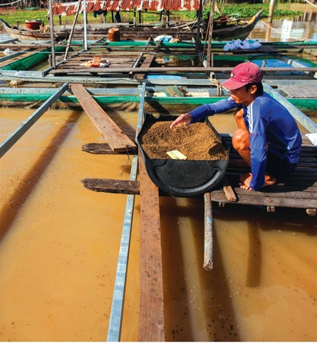 Nhiều gia đình vươn lên làm giàu từ con sông Châu Đốc.