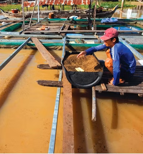 Nhiều gia đình vươn lên làm giàu từ con sông Châu Đốc.