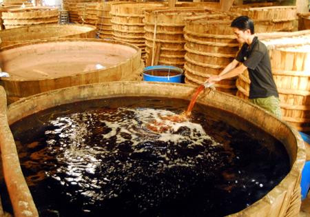 Cơ sở sản xuất nước mắm Hồng Đại tại thị trấn Dương Đông (Phú Quốc). Ảnh: Thanh Vũ-TTXVN. Cơ sở sản xuất nước mắm Hồng Đại tại thị trấn Dương Đông (Phú Quốc). Ảnh: Thanh Vũ-TTXVN.