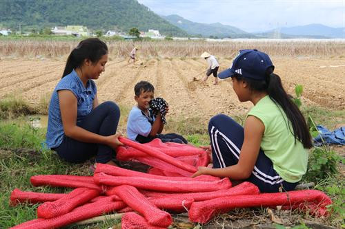 Nhiều gia đình đồng bào dân tộc thiểu số theo chế độ mẫu hệ quan hiệm cho con gái lấy chồng sớm để gia đình có thêm người làm. Ảnh: Nam Sương - TTXVN