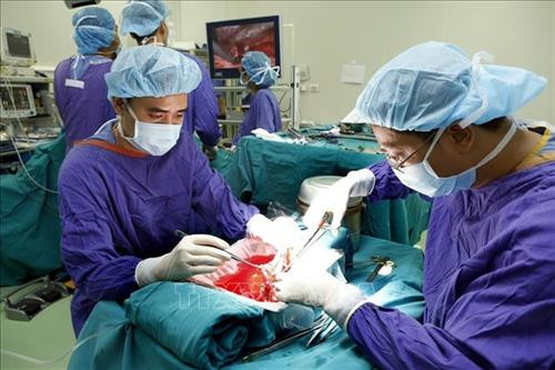 Từ ngày 16/5-13/6/2018, 4 người chết não tại Bệnh viện Hữu nghị Việt-Đức đã hiến 8 quả thận, 4 quả tim và 4 lá gan để cứu sống 16 người mắc bệnh hiểm nghèo. Ảnh: Dương Ngọc - TTXVN