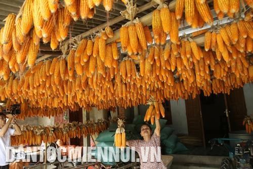 Nhờ được chuyển giao công nghệ, đồng bào xã Chu Hương tự sửa chữa máy nông nghiệp phục vụ sản xuất Khai thác và chế biến lâm sản tăng thêm thu nhập ở thôn Nà Đúc 2, xã Địa Linh Cán bộ khuyến nông huyện hướng dẫn đồng bào thôn Nà Lìn, xã Địa Linh chăm sóc cây hàng hóa mướp đắng rừng Đồng bào xã Cao Trĩ đưa máy móc vào làm đất sản xuất nông nghiệp Đồng bào bản Phiêng Phường xã Mỹ Phương thu hoạch ngô vụ xuân Cơ sở sản xuất chè của hợp tác xã chè Mỹ Phương Tư thương thu mua dê giống tại nhà anh Nông Văn Tiệp thôn Nà Phiêng, xã Mỹ Phương Bà con nông dân xã Chu Hương cấy vụ lúa hè thu Bà con thôn Nà Đông sinh hoạt tại nhà văn hóa xã Chu Hương Đường vào thôn Nà Đông, xã Chu Hương được làm bằng nguồn vốn chương trình 30a