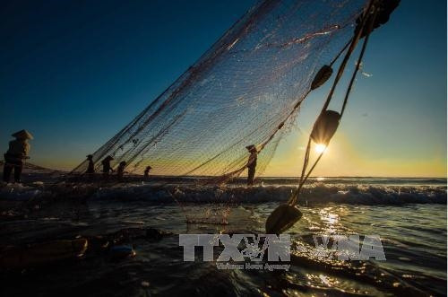 Kéo rùng - nghề truyền thống độc đáo của ngư dân xứ Thanh ảnh 7