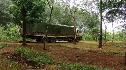 Một chiếc xe chở gỗ lậu bị lực lượng chức năng bắt giữ. Một chiếc xe chở gỗ lậu bị lực lượng chức năng bắt giữ.