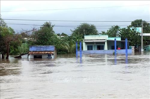 Nhiều nhà cửa của người dân xã Phước Nam, huyện Thuận Nam bị ngập sâu trong nước lũ. Ảnh: Công Thử - TTXVN