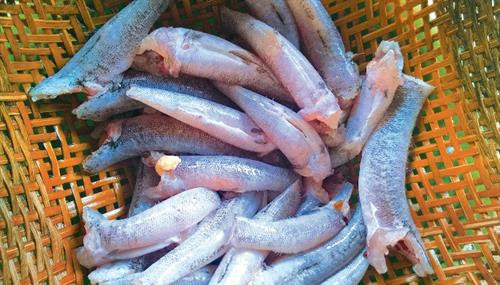 Thơm cay cá bống dừa nướng muối ớt ảnh 1