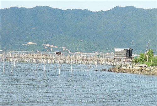 Một khu vực nuôi hàu trên đầm Nha Phu.