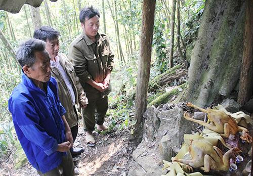 Người chủ lễ kính cẩn dâng lễ vật, khấn mời thần rừng về hưởng lễ và chứng kiến lòng thành kính của người dân, cầu mong cho dân bản, vật nuôi khỏe mạnh, mùa màng tươi tốt, mưa thuận gió hòa. Người chủ lễ kính cẩn dâng lễ vật, khấn mời thần rừng về hưởng lễ và chứng kiến lòng thành kính của người dân, cầu mong cho dân bản, vật nuôi khỏe mạnh, mùa màng tươi tốt, mưa thuận gió hòa.