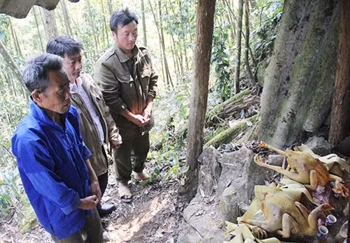 Người chủ lễ kính cẩn dâng lễ vật, khấn mời thần rừng về hưởng lễ và chứng kiến lòng thành kính của người dân, cầu mong cho dân bản, vật nuôi khỏe mạnh, mùa màng tươi tốt, mưa thuận gió hòa.