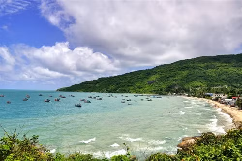 Ảnh: Ngô Việt Phương
