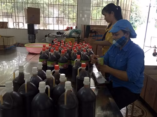 Sản xuất nước mắm tại Công ty cổ phần thủy sản Vạn Phần.