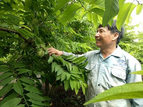 Những vùng đất sản sinh ra loại na ngon tại Việt Nam ảnh 2