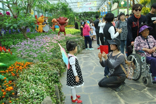 Lễ hội bướm Hampyeong thu hút du khách nhí ảnh 6