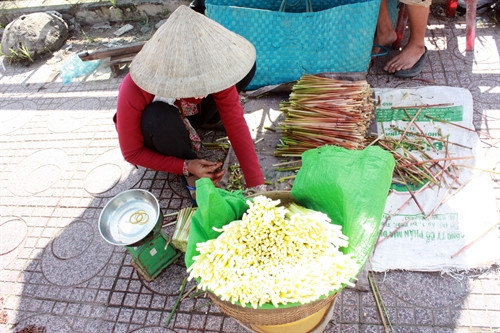 Năn bộp, rau mọc tự nhiên giúp người nông dân có thêm thu nhập. Năn bộp, rau mọc tự nhiên giúp người nông dân có thêm thu nhập.