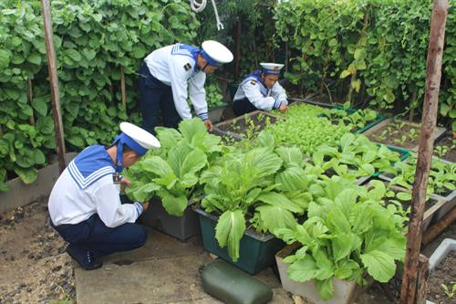 Các chiến sỹ đảo Sinh Tồn Đông chăm sóc vườn rau của đơn vị