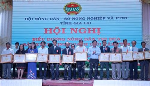 Trao Bằng khen cho các tập thể, cá nhận tiêu biểu. Ảnh: Hoài Nam – TTXVN