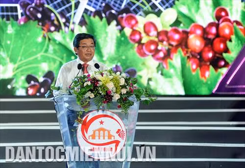 Ông Lưu Xuân Vĩnh, Chủ tịch UBND tỉnh Ninh Thuận phát biểu khai mạc Lễ hội nho và vang Ninh Thuận 2019