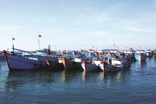 Ảnh minh họa- TTXVN