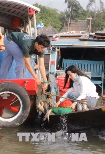 Sáng 1/4/2018, tại bến Ninh Kiều, thành phố Cần Thơ, Sở Nông nghiệp và Phát triển nông thôn thành phố phối hợp với Giáo hội Phật giáo Việt Nam thành phố Cần Thơ tổ chức thả trên 3 tấn cá giống các loại về thiên nhiên để tái tạo nguồn lợi thủy sản. Ảnh: Ngọc Thiện-TTXVN Sáng 1/4/2018, tại bến Ninh Kiều, thành phố Cần Thơ, Sở Nông nghiệp và Phát triển nông thôn thành phố phối hợp với Giáo hội Phật giáo Việt Nam thành phố Cần Thơ tổ chức thả trên 3 tấn cá giống các loại về thiên nhiên để tái tạo nguồn lợi thủy sản. Ảnh: Ngọc Thiện-TTXVN