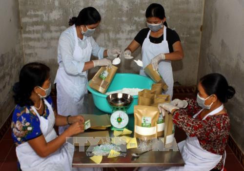 Chị em ở Hợp tác xã sản xuất tinh bột sắn và tinh bột nghệ, xóm 5 xã Nam Anh, Nam Đàn (Nghệ An) đóng gói sản phẩm. Ảnh: Thanh Tùng - TTXVN Chị em ở Hợp tác xã sản xuất tinh bột sắn và tinh bột nghệ, xóm 5 xã Nam Anh, Nam Đàn (Nghệ An) đóng gói sản phẩm. Ảnh: Thanh Tùng - TTXVN