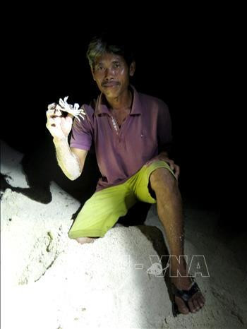 Những con còng mùa này rất săn chắc, béo ngậy. Ảnh: Phước Ngọc-TTXVN Những con còng mùa này rất săn chắc, béo ngậy. Ảnh: Phước Ngọc-TTXVN