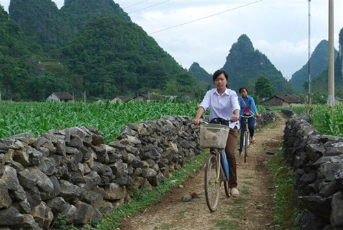 Hàng rào đá trên địa bàn huyện Trùng Khánh (Cao Bằng)