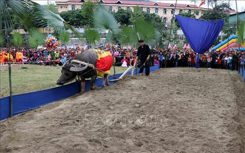 Nghi thức xuống đồng cày ruộng tại Lễ hội Lồng Tồng. Ảnh: Quang Đán - TTXVN