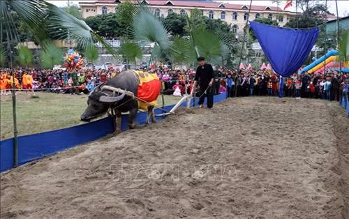 Nghi thức xuống đồng cày ruộng tại Lễ hội Lồng Tồng. Ảnh: Quang Đán - TTXVN