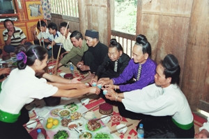 Nộm rau dớn và canh lá đắng - món ăn của người Tây Bắc ảnh 1