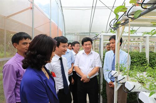 Hà Nội khai trương khu sinh thái nông nghiệp công nghệ cao ảnh 8