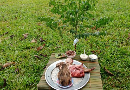 Mâm lễ vật trong lễ cúng chặt hạ cây Mâm lễ vật trong lễ cúng chặt hạ cây