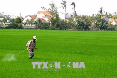Nông dân xã Hòa An, huyện Phú Hòa, tỉnh Phú Yên phun thuốc trừ sâu bệnh. Ảnh: Thế Lập - TTXVN Nông dân xã Hòa An, huyện Phú Hòa, tỉnh Phú Yên phun thuốc trừ sâu bệnh. Ảnh: Thế Lập - TTXVN