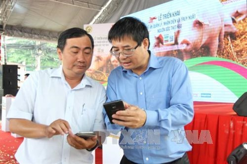 Hướng dẫn người tiêu dùng cách truy xuất nguồn gốc thịt lợn tại Siêu thị Co.op mart Foodcosa, Gò Vấp, Thành phố Hồ Chí Minh. Ảnh: Thanh Vũ-TTXVN