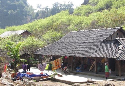 Xao xuyến sắc hoa Mộc Châu ảnh 5