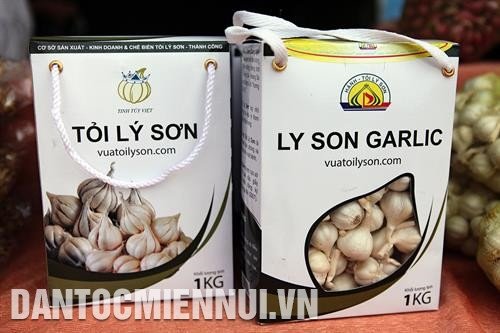 Tỏi Lý Sơn là loại tỏi quý, có mùi thơm dễ chịu, dịu ngọt, ít cay. Ảnh: Song Hùng Tỏi Lý Sơn là đặc sản để du khách mua về làm quà mỗi khi có dịp tới Quảng Ngãi. Ảnh: Song Hùng