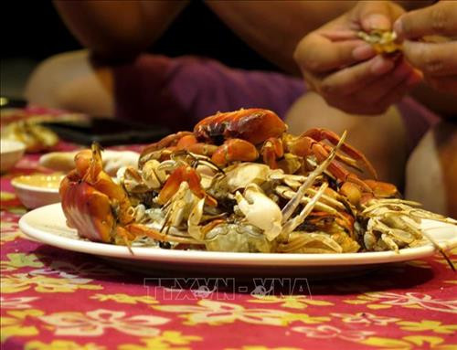 Khi chín chúng trở màu vàng ươm trông rất bắt mắt. Ảnh: Phước Ngọc-TTXVN Khi chín chúng trở màu vàng ươm trông rất bắt mắt. Ảnh: Phước Ngọc-TTXVN