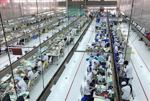 Nhiều lao động sau khi đào tạo đã được doanh nghiệp may Tiến Thuận Ninh Thuận bố trí việc làm ổn định. Ảnh: Công Thử - TTXVN