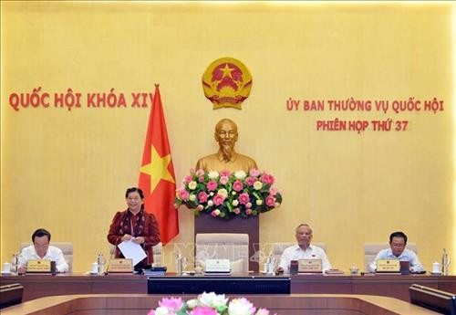 Phó Chủ tịch Thường trực Quốc hội Tòng Thị Phóng điều hành phiên họp. Ảnh: Trọng Đức - TTXVN