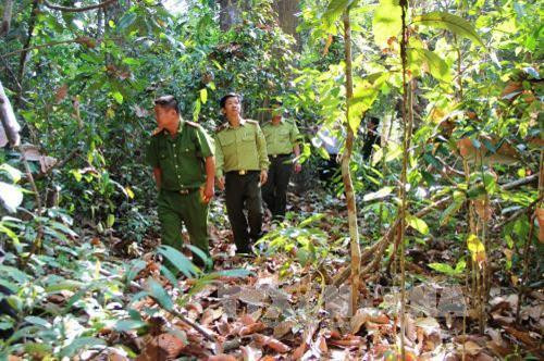 Kiểm tra công tác phòng chống cháy rừng khu vực suối Đa Ha, thuộc Vườn Quốc gia Lò Gò-Xa Mát. Ảnh: Lê Đức Hoảnh - TTXVN