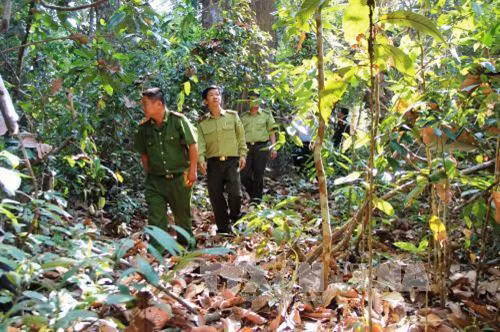 Kiểm tra công tác phòng chống cháy rừng khu vực suối Đa Ha, thuộc Vườn Quốc gia Lò Gò-Xa Mát. Ảnh: Lê Đức Hoảnh - TTXVN