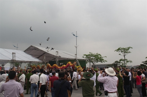 Festival sinh vật cảnh Thủ đô lần thứ nhất ảnh 2