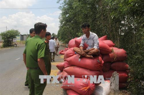 Công an huyện Thủ Thừa lập biên bản hiện trường, tiến hành xác minh tài xế và những người đi trong nhóm này, tiếp tục điều tra, làm rõ vụ việc. Ảnh: Bùi Giang – TTXVN